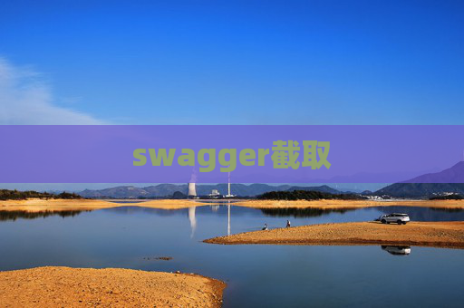swagger截取